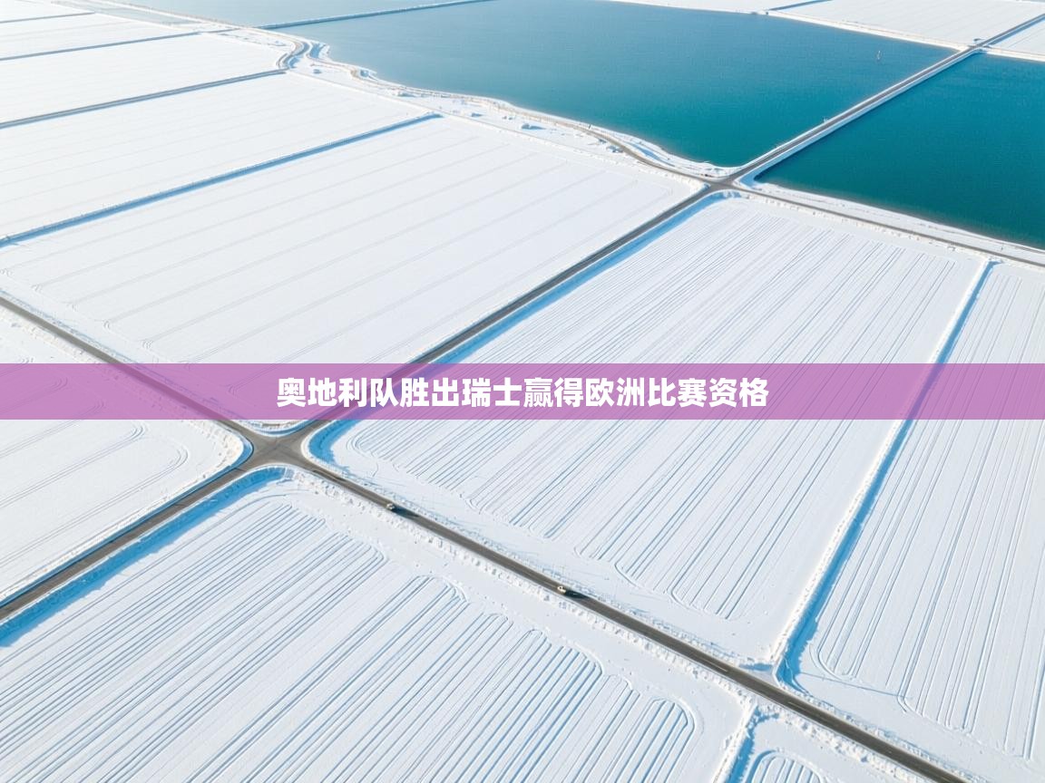 奥地利队胜出瑞士赢得欧洲比赛资格 第1张