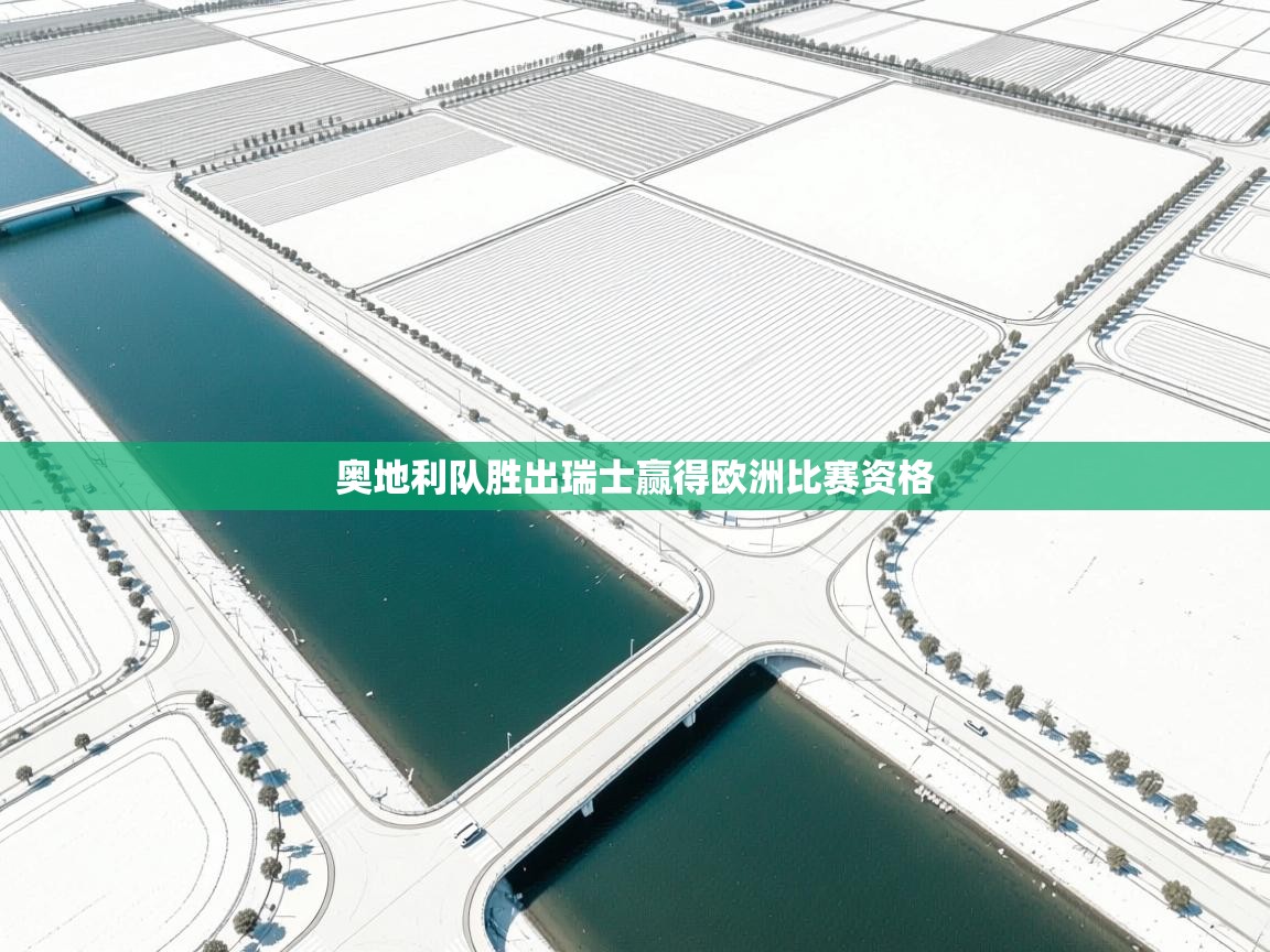 奥地利队胜出瑞士赢得欧洲比赛资格 第2张