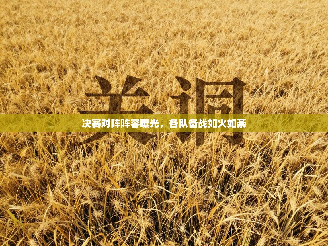 决赛对阵阵容曝光，各队备战如火如荼  第1张