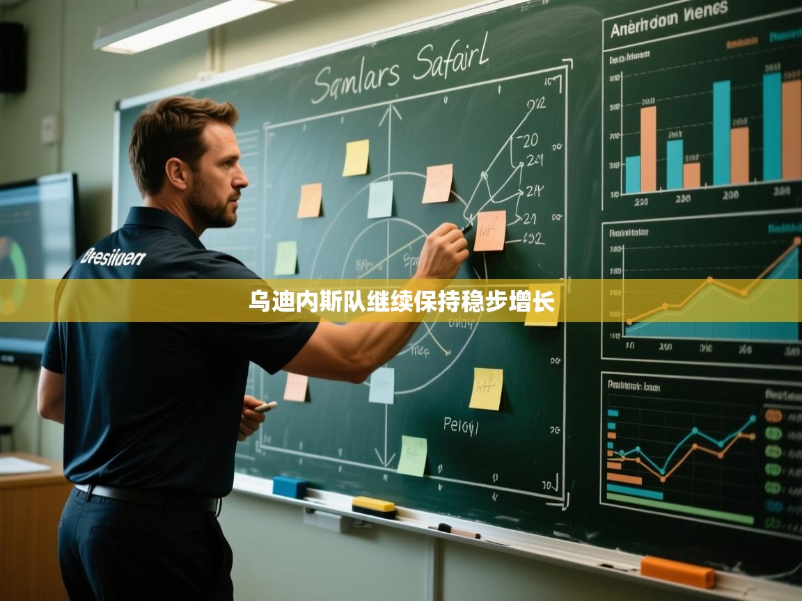 乌迪内斯队继续保持稳步增长  第1张