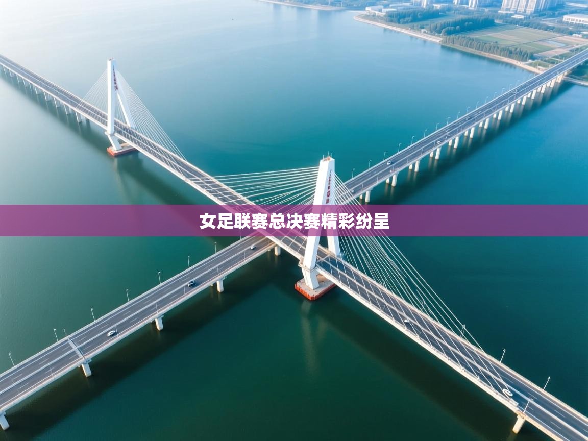 女足联赛总决赛精彩纷呈 第1张